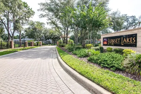 21233 Lake Vienna Drive Land O Lakes FL 34638