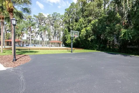 21233 Lake Vienna Drive Land O Lakes FL 34638