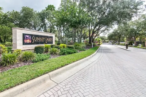 21233 Lake Vienna Drive Land O Lakes FL 34638