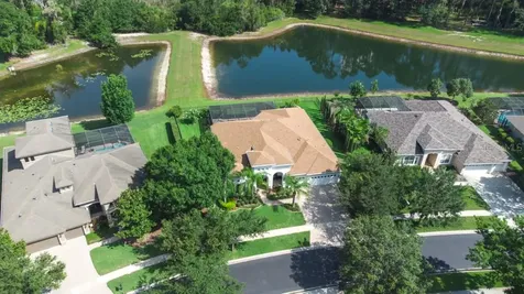 21233 Lake Vienna Drive Land O Lakes FL 34638