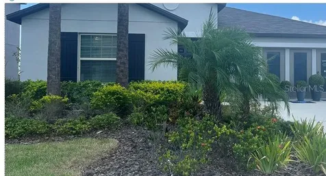 8606 Parsons Hill Boulevard Wesley Chapel FL 33545