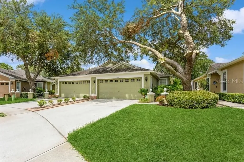 19108 White Wing Place Tampa FL 33647