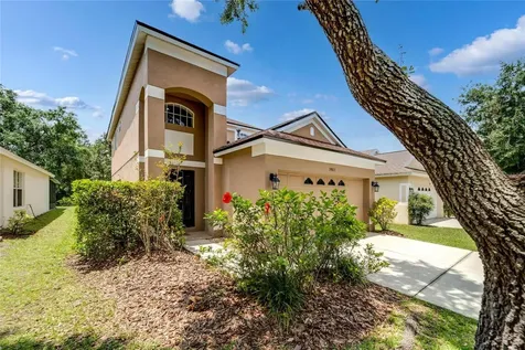5905 Wrenwater Drive Lithia FL 33547