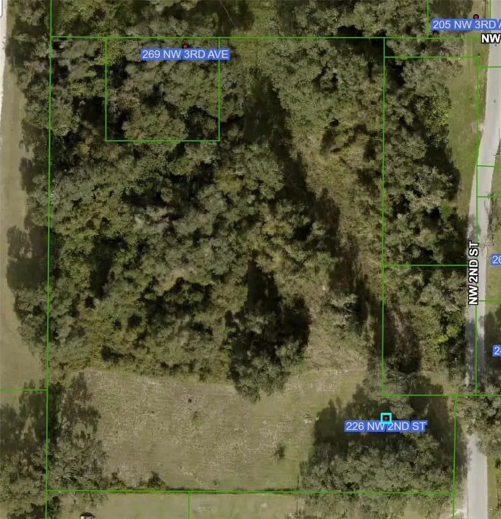 226 NW 2nd Street Webster FL 33597