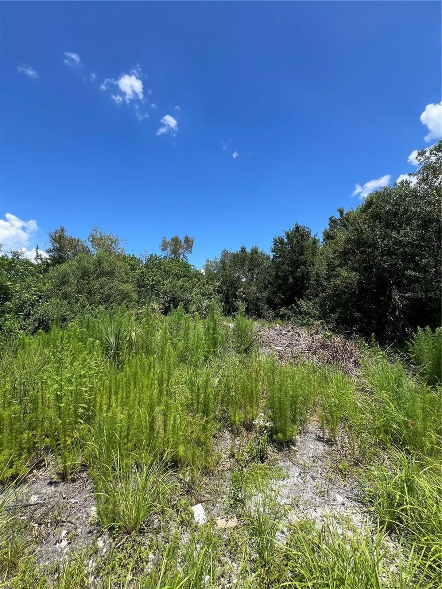 527 Orange Brook Lane Punta Gorda FL 33982