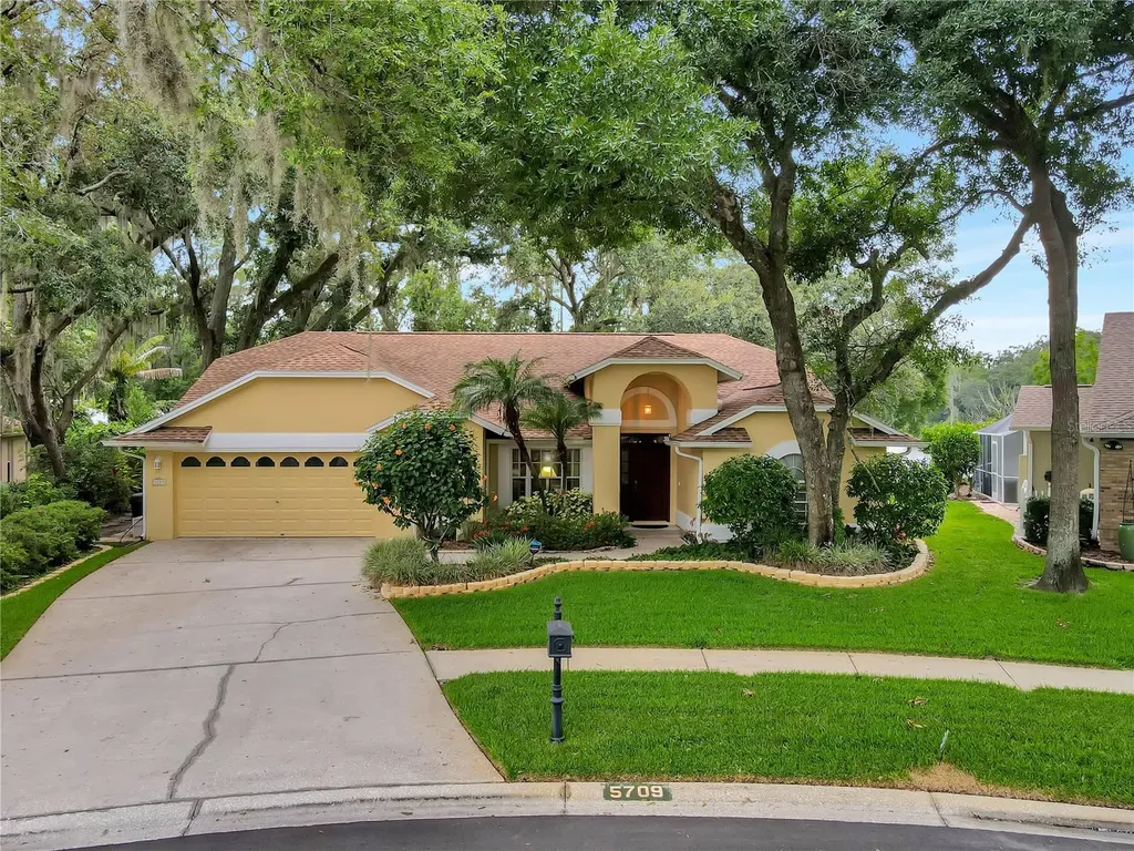 5709 Piney Lane Drive Tampa FL 33625