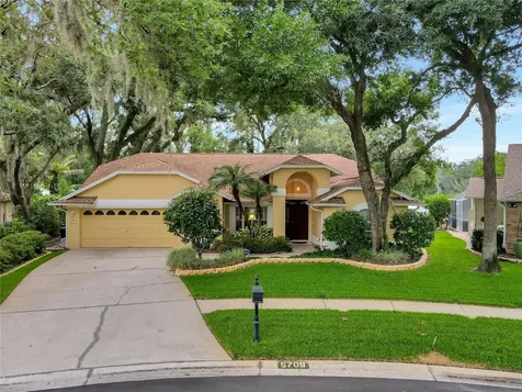 5709 Piney Lane Drive Tampa FL 33625