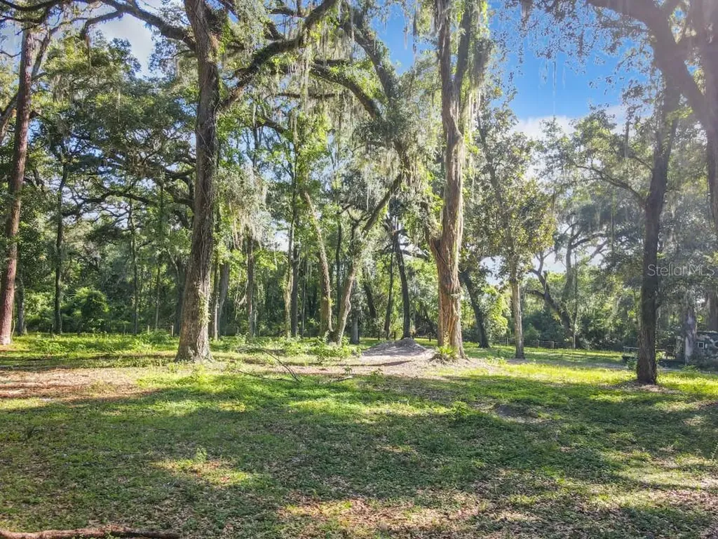 4544 Cr 673 Bushnell FL 33513