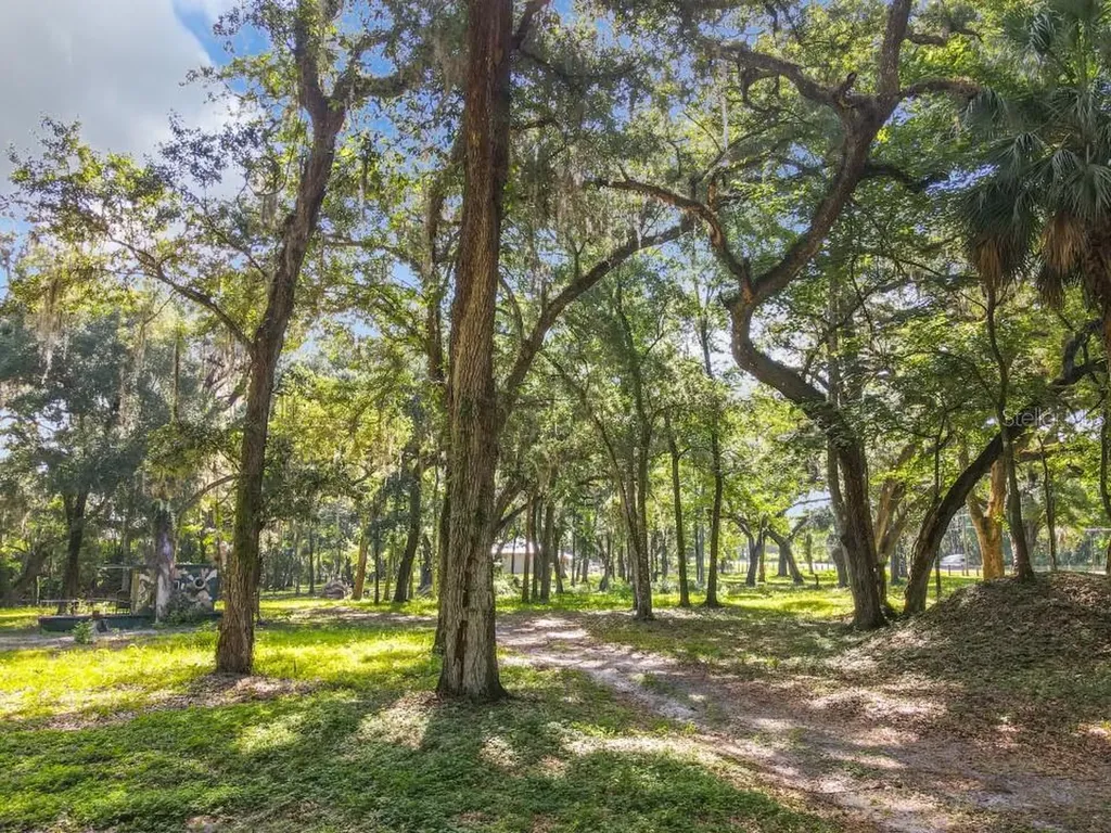 4544 Cr 673 Bushnell FL 33513