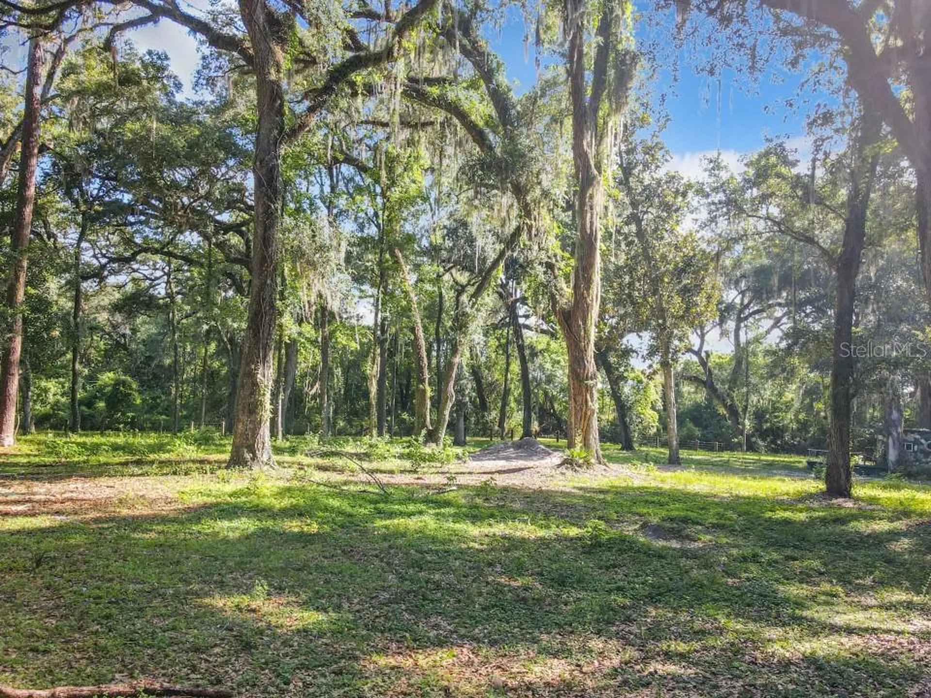 4544 Cr 673 Bushnell FL 33513