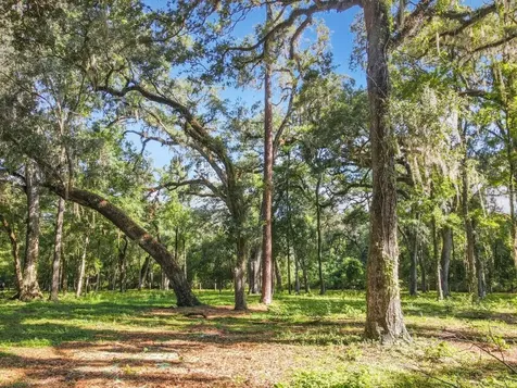 4544 Cr 673 Bushnell FL 33513