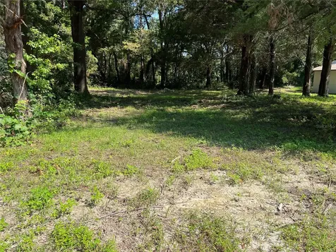 88 SW 385th Avenue Cross City FL 32628