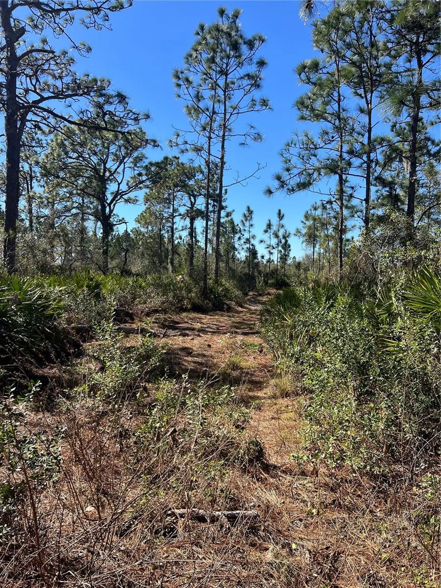 Shore Drive Lake Wales FL 33898