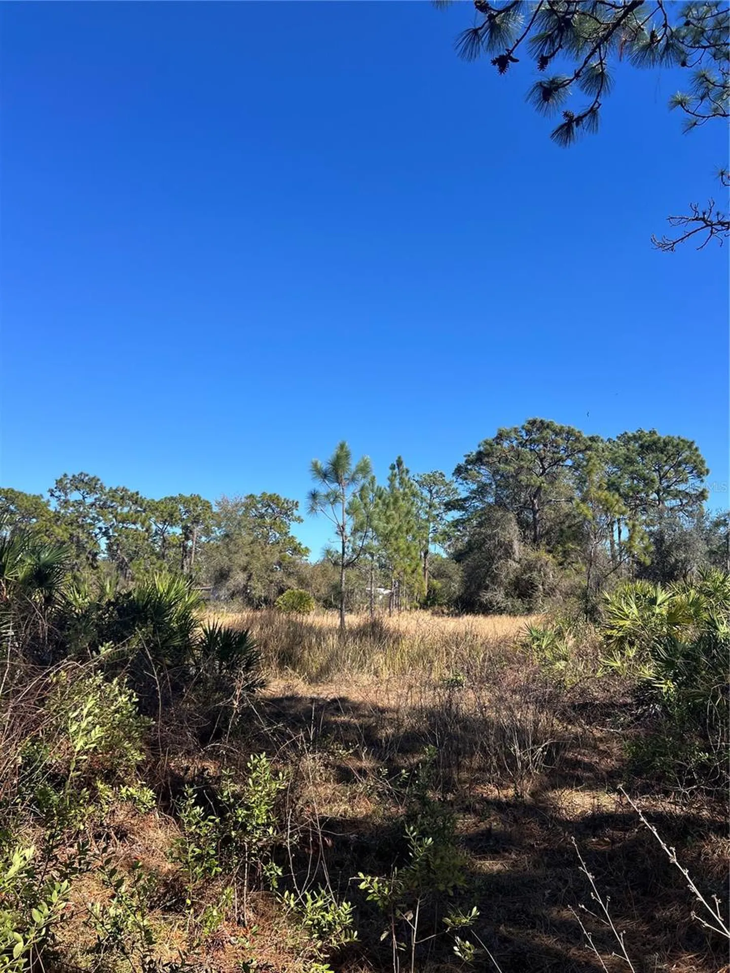 Shore Drive Lake Wales FL 33898