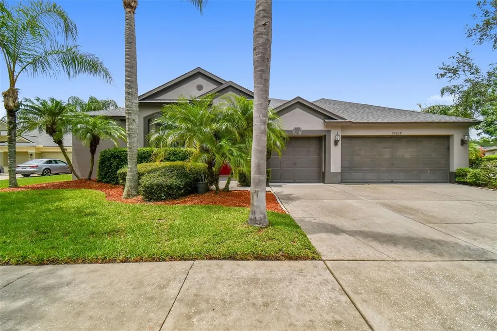 25639 Ferdinand Court Wesley Chapel FL 33544