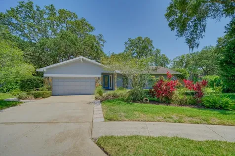 6 Fernery Lane Safety Harbor FL 34695