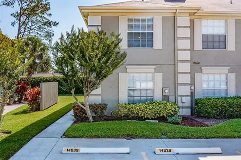 14039 Notreville Way Tampa FL 33624