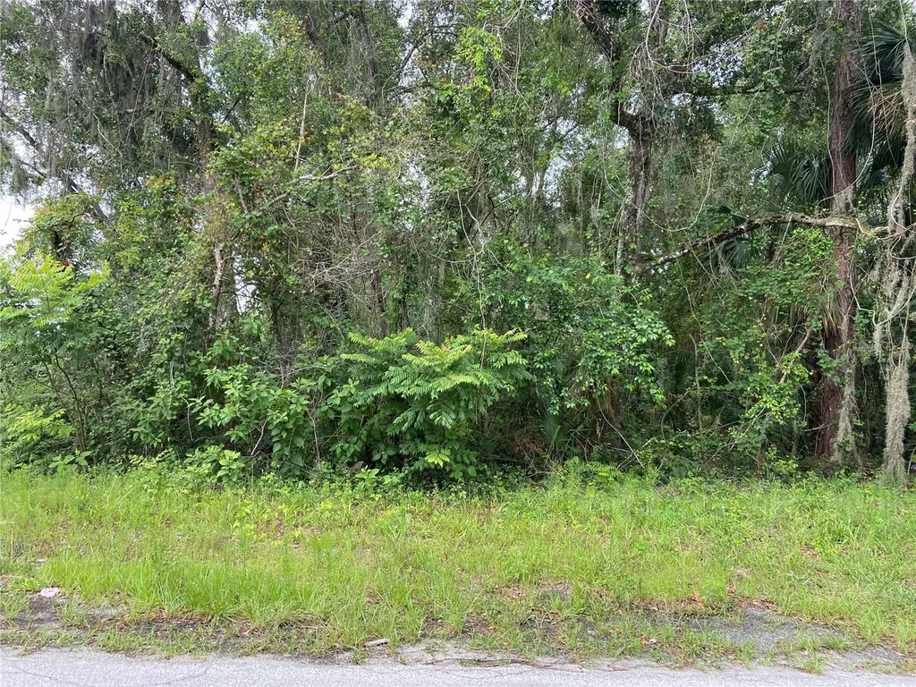 Wilson Avenue Deland FL 32720