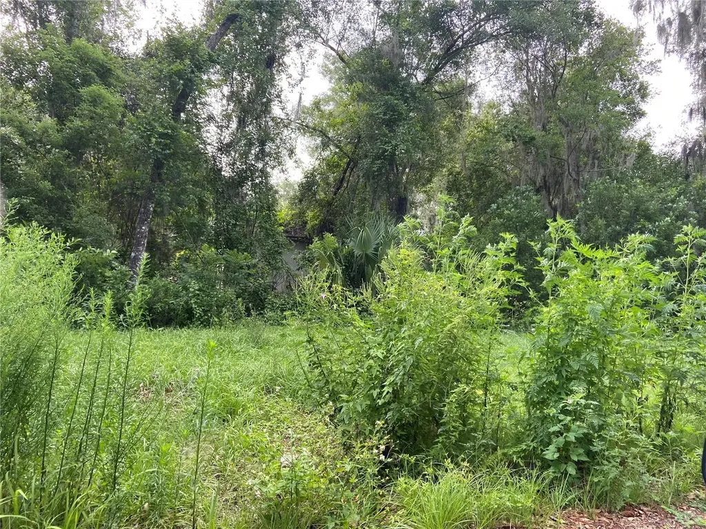 Wilson Avenue Deland FL 32720