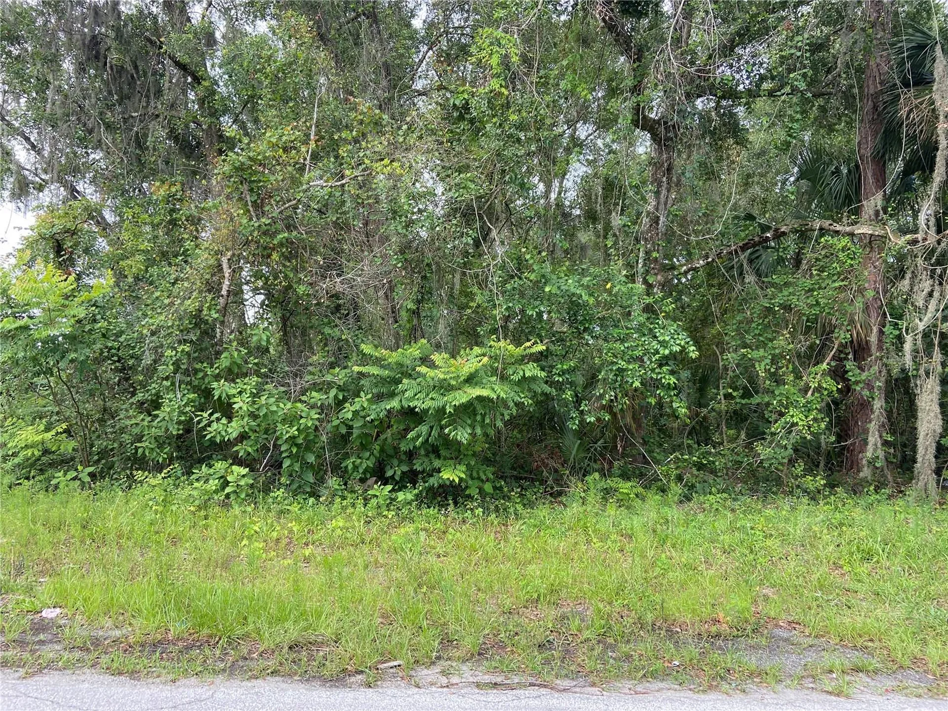 Wilson Avenue Deland FL 32720