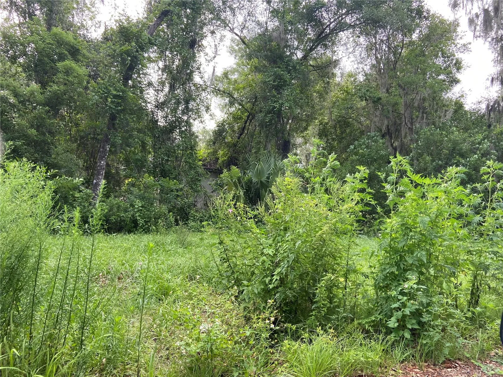 Wilson Avenue Deland FL 32720