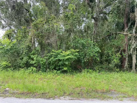 Wilson Avenue Deland FL 32720