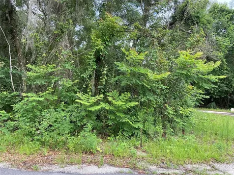 Wilson Avenue Deland FL 32720