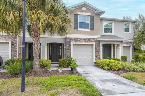 10428 Red Carpet Court Riverview FL 33578