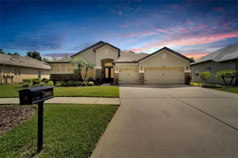 6124 Ibispark Drive Lithia FL 33547