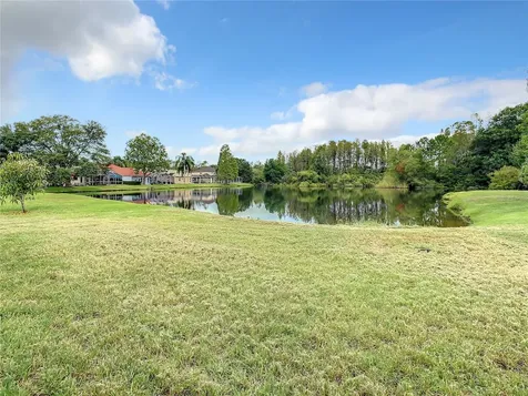 10218 Garden Alcove Drive Tampa FL 33647