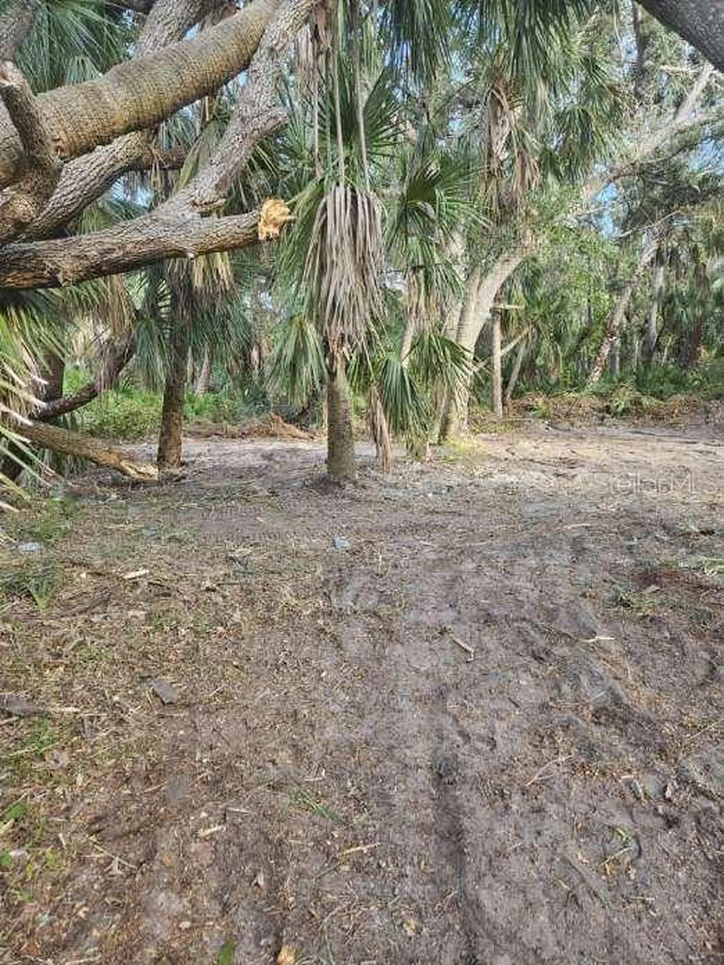 18417 Daysland Avenue Port Charlotte FL 33952