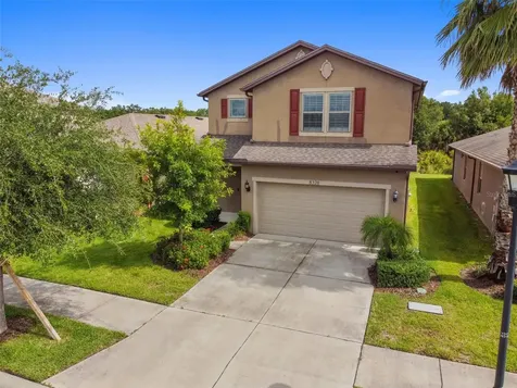 8328 Red Spruce Avenue Riverview FL 33578