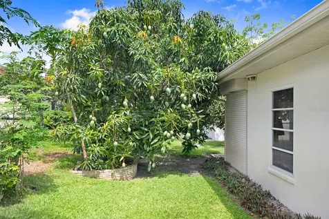 8220 Palma Del Rio Drive Port Richey FL 34668
