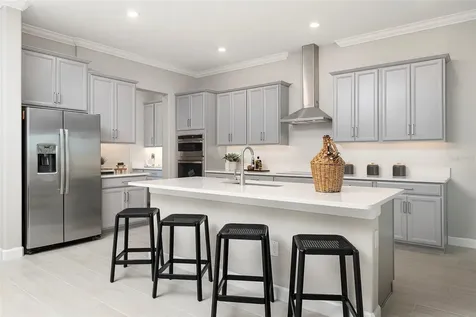 17077 Forge Surf Street Land O Lakes FL 34638