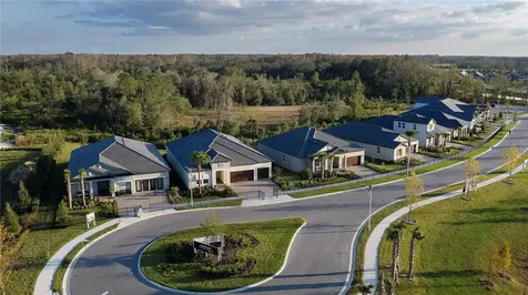 17077 Forge Surf Street Land O Lakes FL 34638