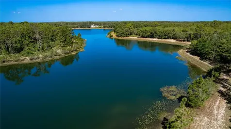 17077 Forge Surf Street Land O Lakes FL 34638