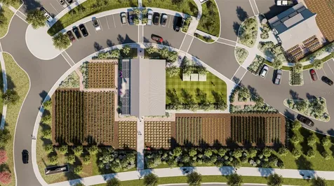 17077 Forge Surf Street Land O Lakes FL 34638
