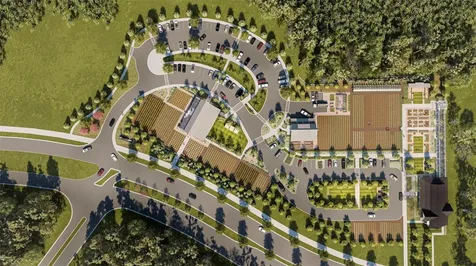 17077 Forge Surf Street Land O Lakes FL 34638