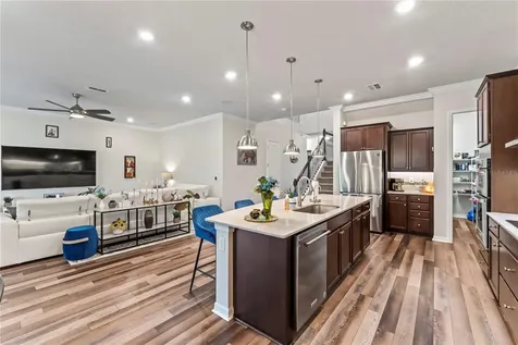 19224 Briarbrook Drive Tampa FL 33647