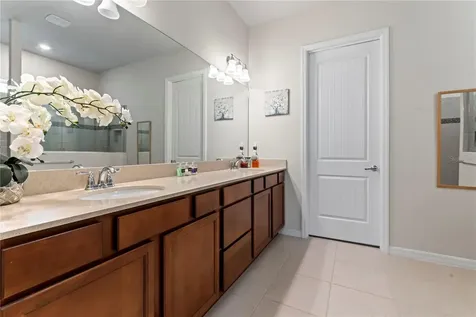 19224 Briarbrook Drive Tampa FL 33647