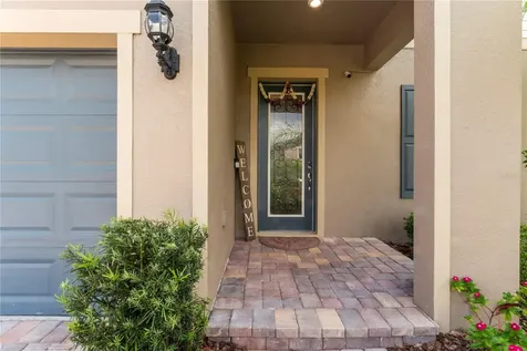 19224 Briarbrook Drive Tampa FL 33647