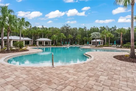 19224 Briarbrook Drive Tampa FL 33647
