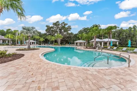 19224 Briarbrook Drive Tampa FL 33647