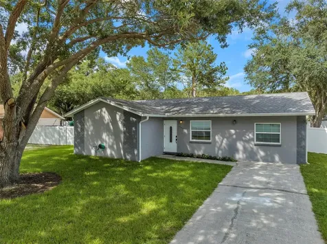 13915 Bridgeport Drive Tampa FL 33625