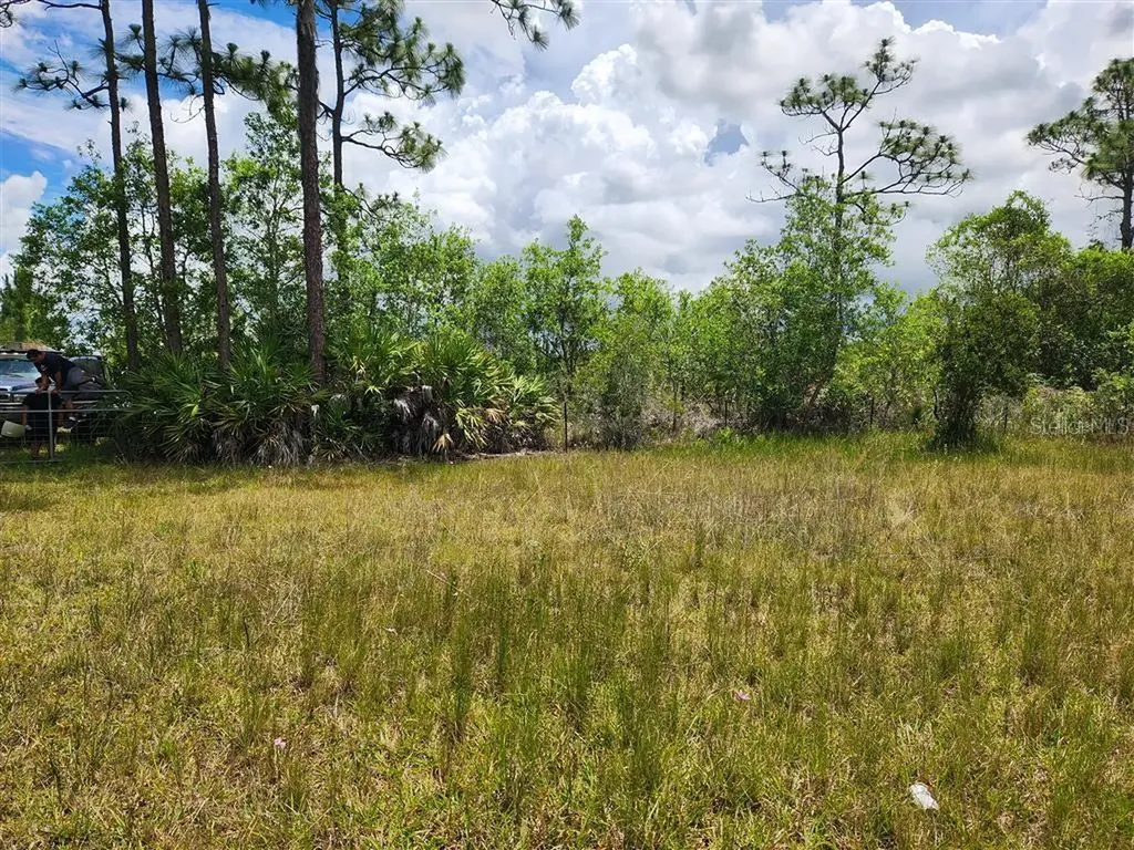Holopaw Groves Road St Cloud FL 34771