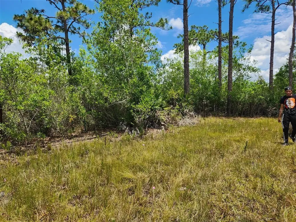 Holopaw Groves Road St Cloud FL 34771