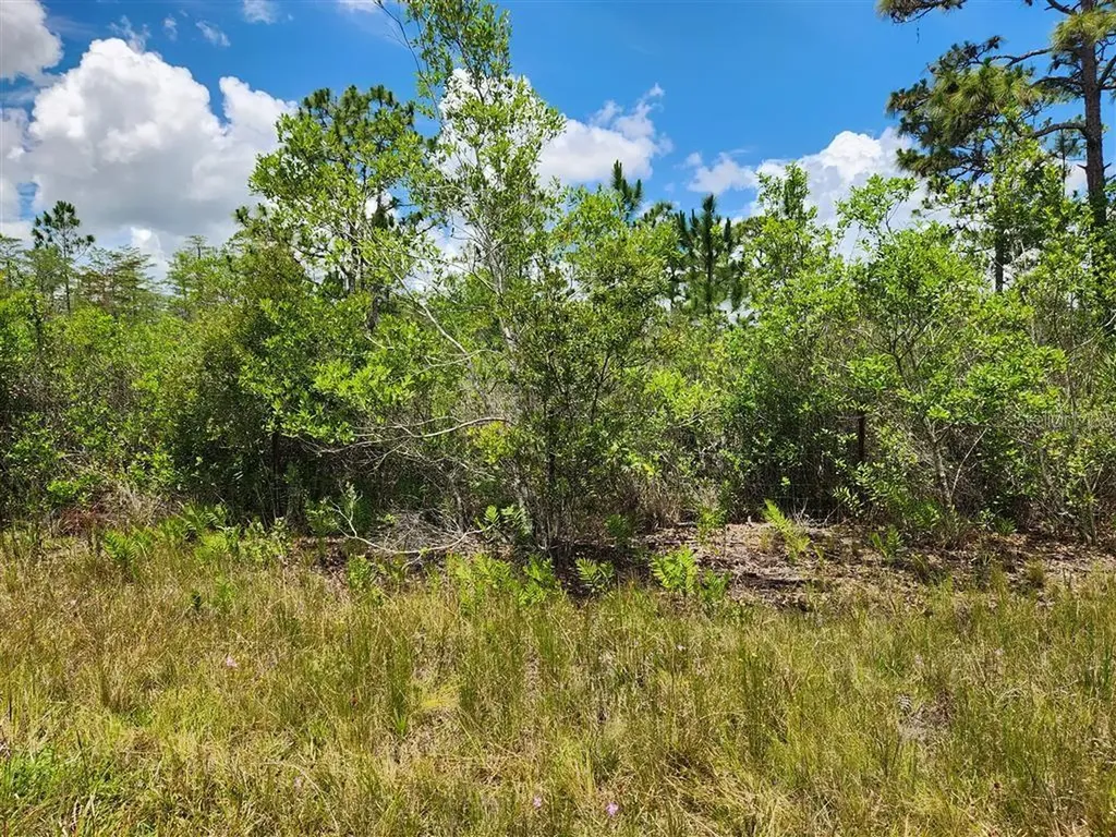 Holopaw Groves Road St Cloud FL 34771