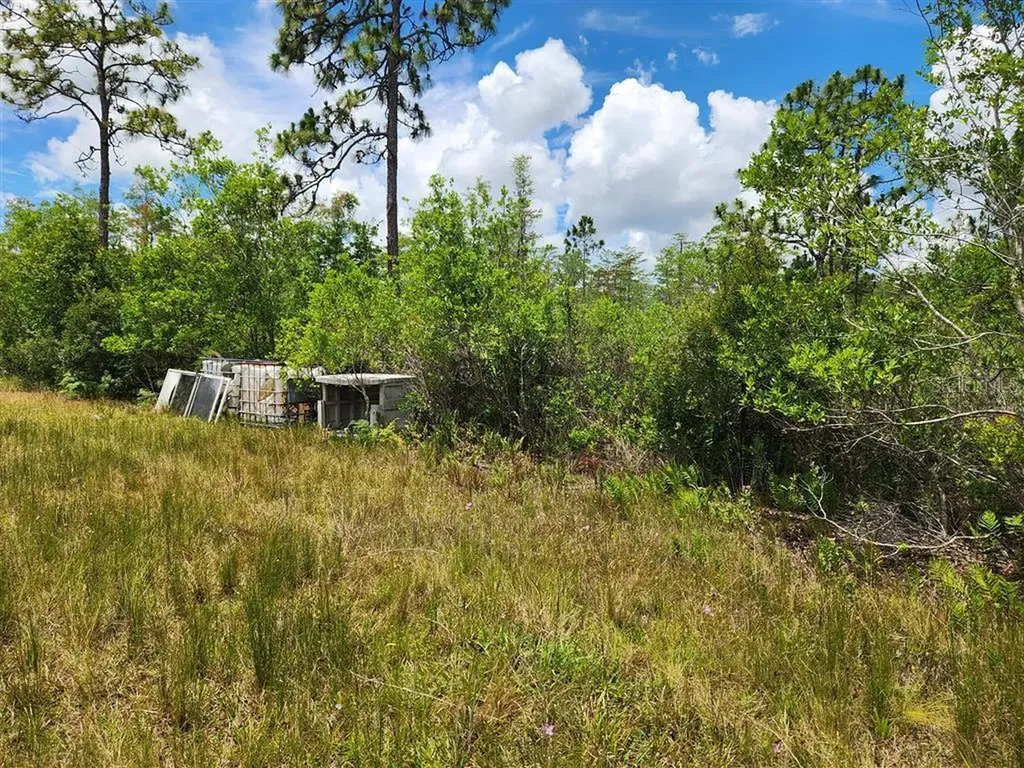 Holopaw Groves Road St Cloud FL 34771