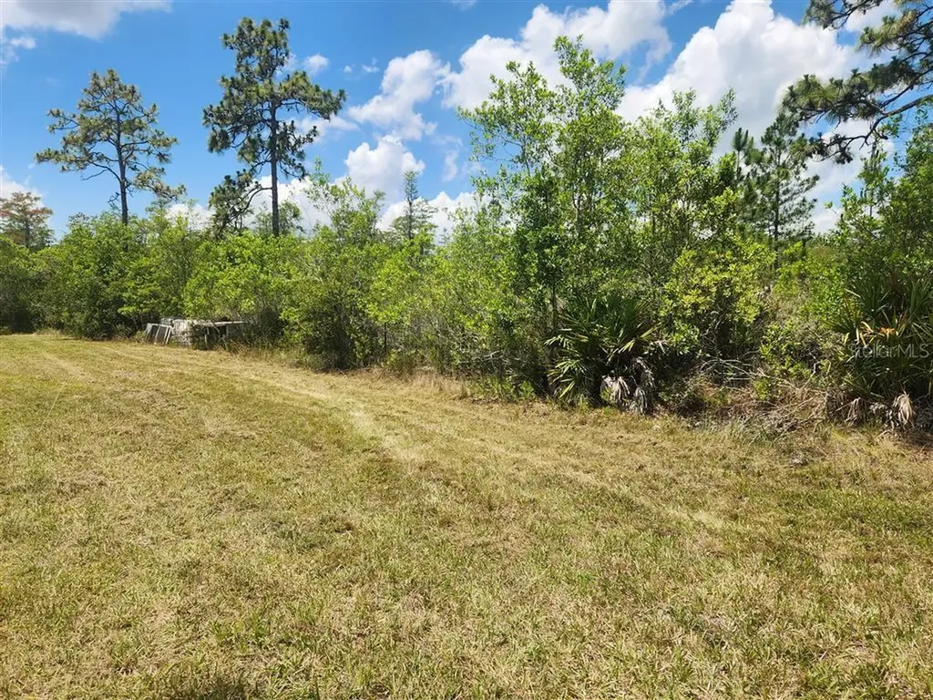 Holopaw Groves Road St Cloud FL 34771