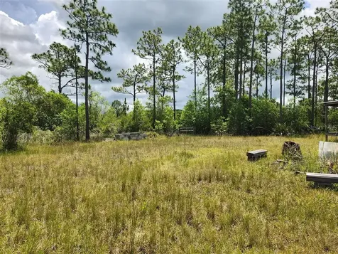 Holopaw Groves Road St Cloud FL 34771